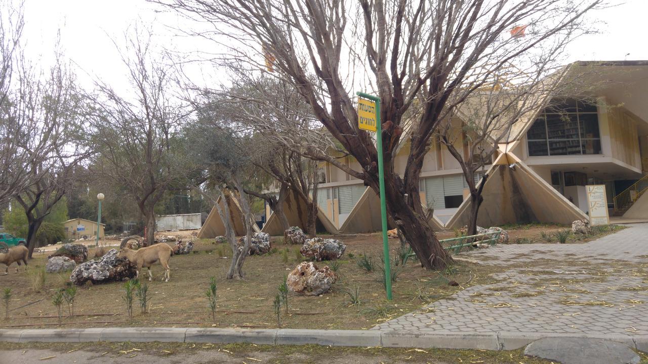 Margo Zimmer Villa Midreshet Ben Gurion Exterior foto